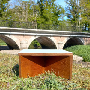 Table basse Aquilon par Pierre Guariche sur Circa51