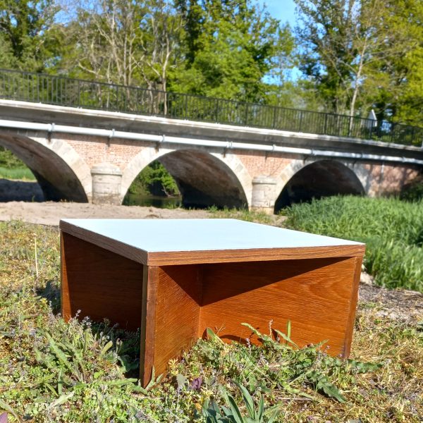 Table basse Aquilon par Pierre Guariche sur Circa51