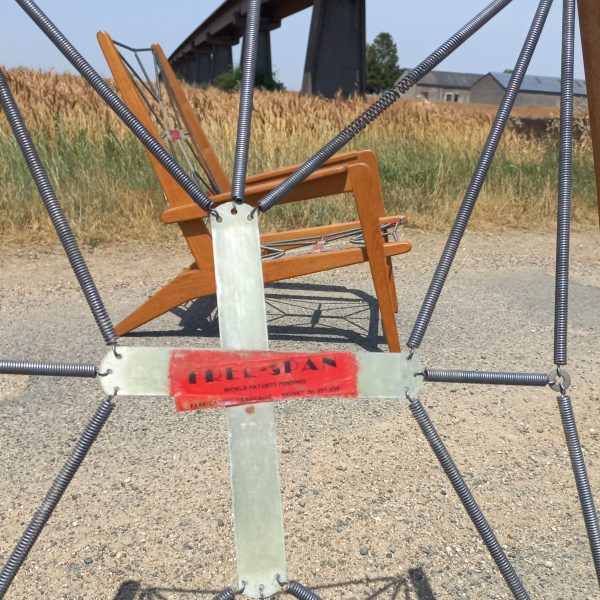 Paire de fauteuils FS105 par Pierre Guariche sur Circa51
