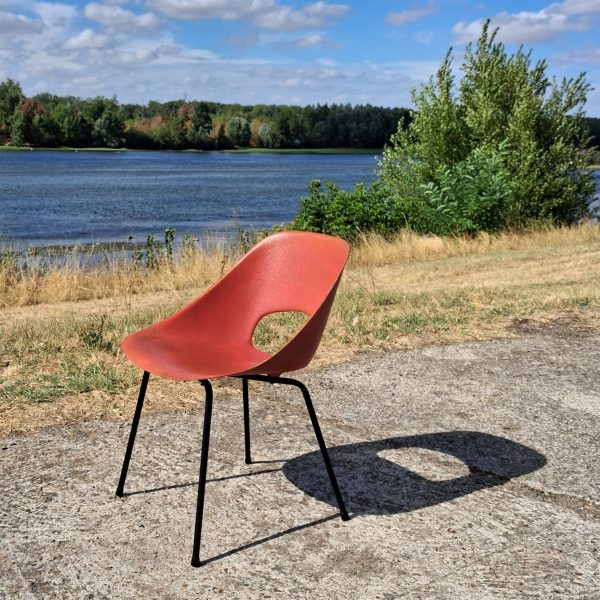 Chaise Tulipe par Pierre Guariche sur Circa51